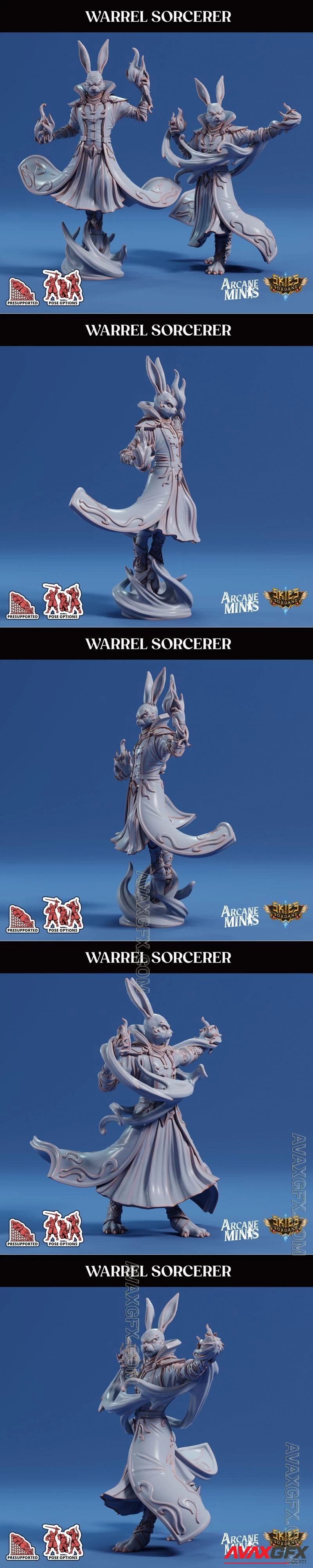 Warrel Sorcerer