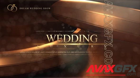 Wedding 49291923 Videohive