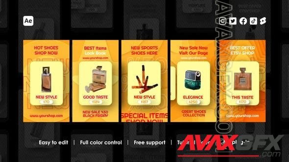 Online Shopping Instagram Stories 48991100 Videohive