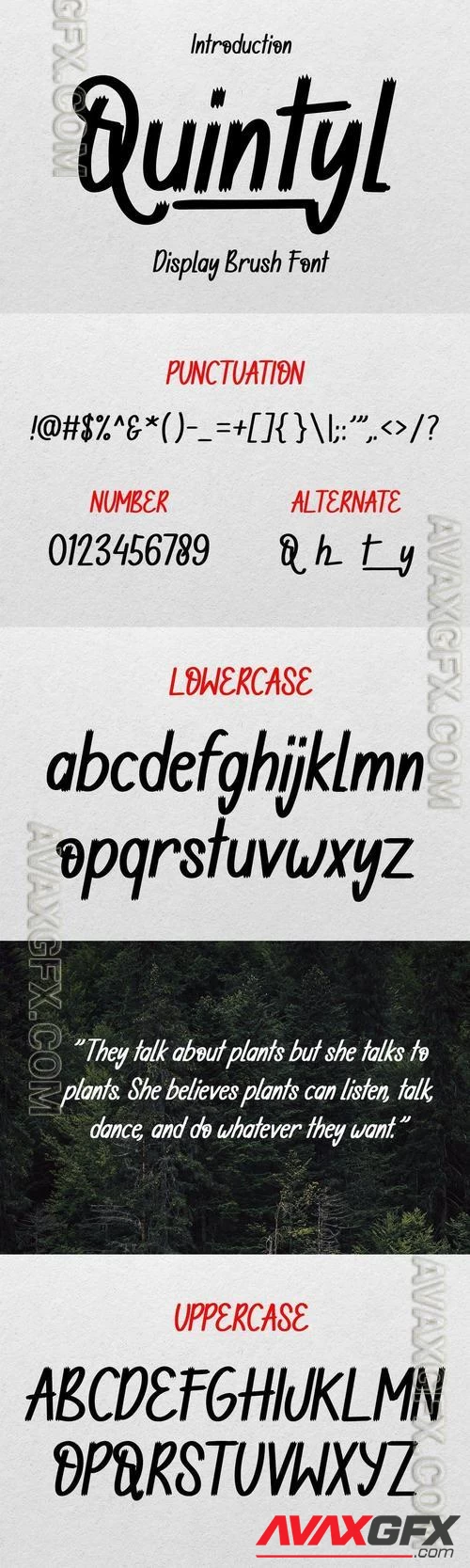 Quintyl - Brush Font