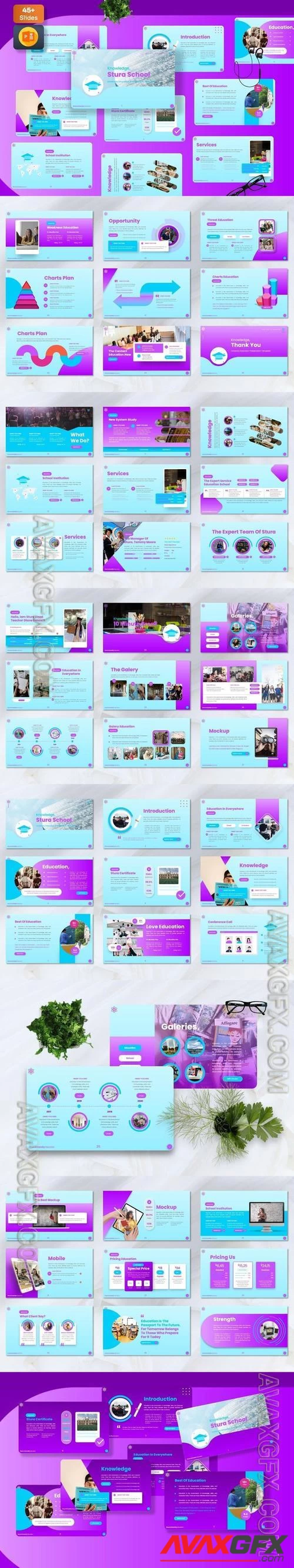 Stura - University Powerpoint Templates