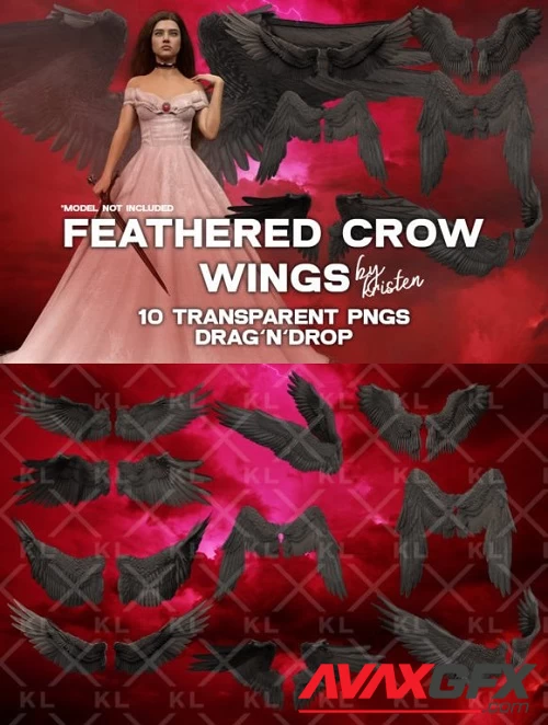 10 3D Crow Wings Photo Overlay PNGs