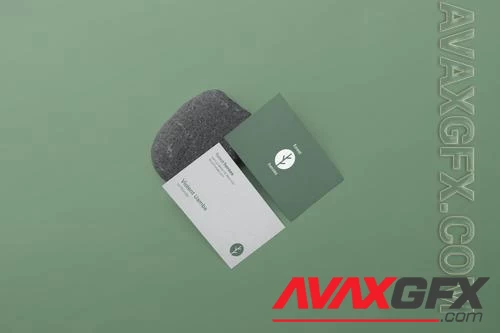 Business Card Mockup