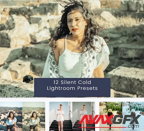 12 Silent Cold Lightroom Presets - 99KFG9Z