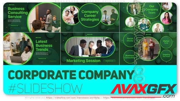 Corporate Company Slideshow 49154185 Videohive