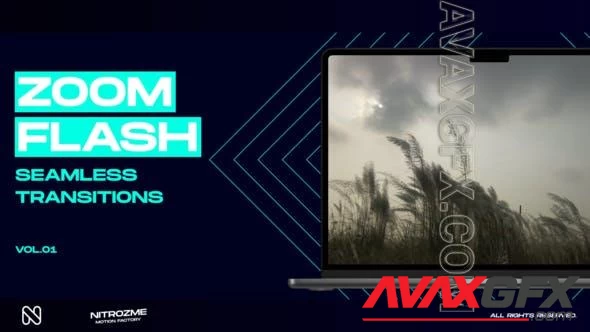Zoom Flash Transitions Vol. 01 49305097 Videohive