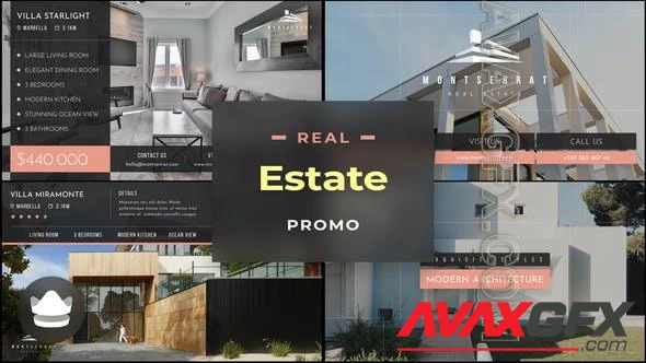 Real Estate Promo 46603452 Videohive