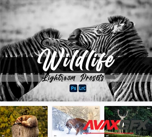 Wildlife Lightroom Presets - QDVF7F2