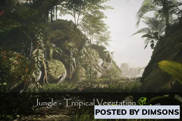 Unity 3D-Models Jungle - Tropical Vegetation v3.3.1