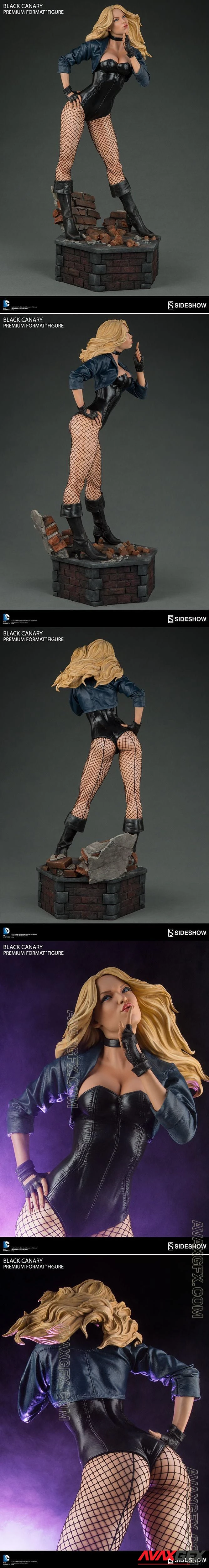 Black Canary - STL 3D Model
