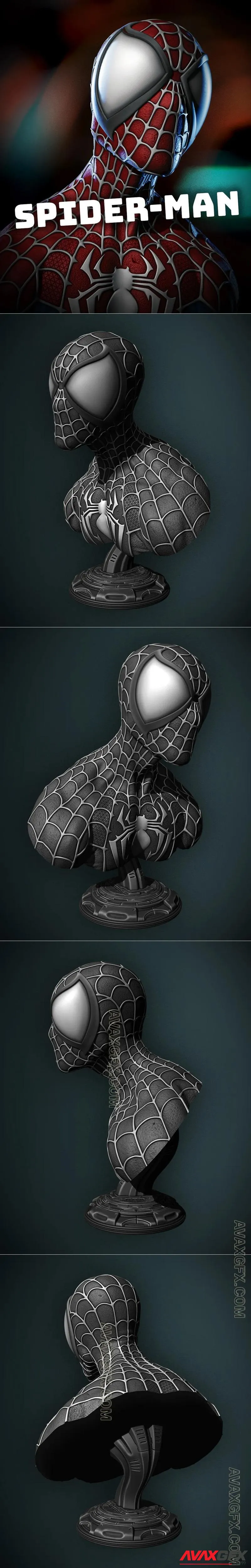 Eastman - Spider Man bust - STL 3D Model