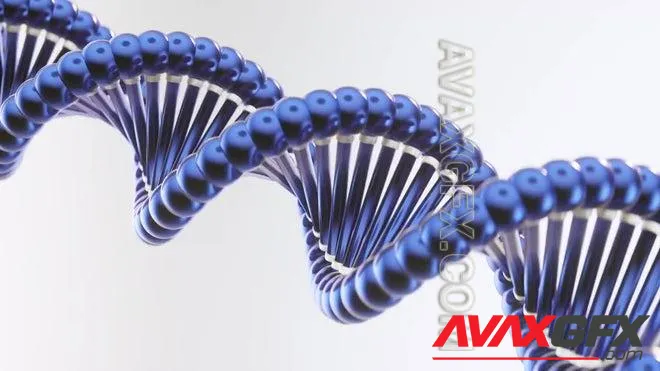 MA - Rotating DNA 1633327