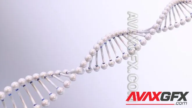 MA - Rotating DNA Chain 1447591