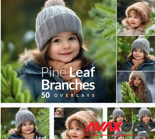 Pine Branches Christmas transparent PNG Overlays - SGS2MK4
