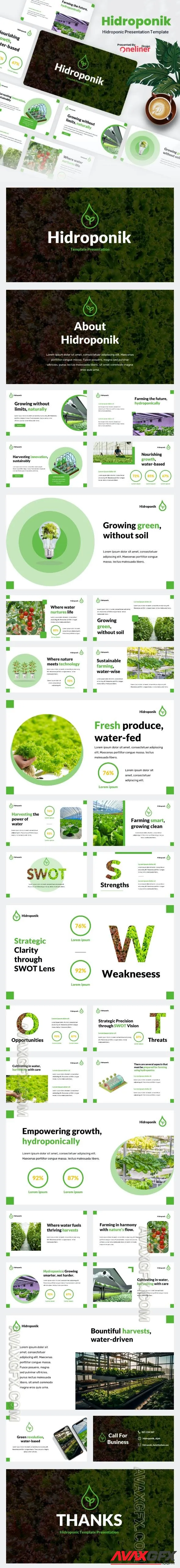 Graphicriver - Hidroponic - Hydroponics Agriculture Powerpoint Template 49623904