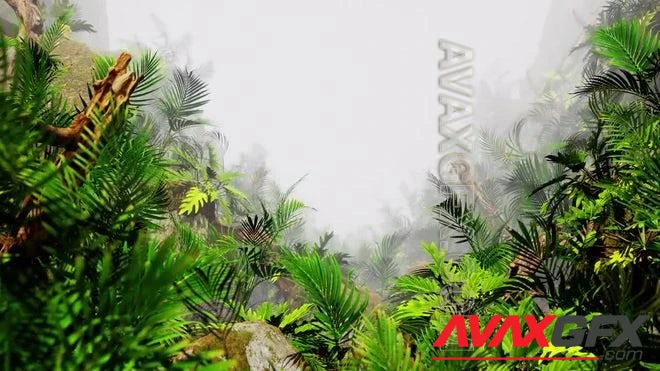 MA - Through A Foggy Jungle Loop 1624539