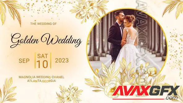 Golden Wedding 47584411 Videohive