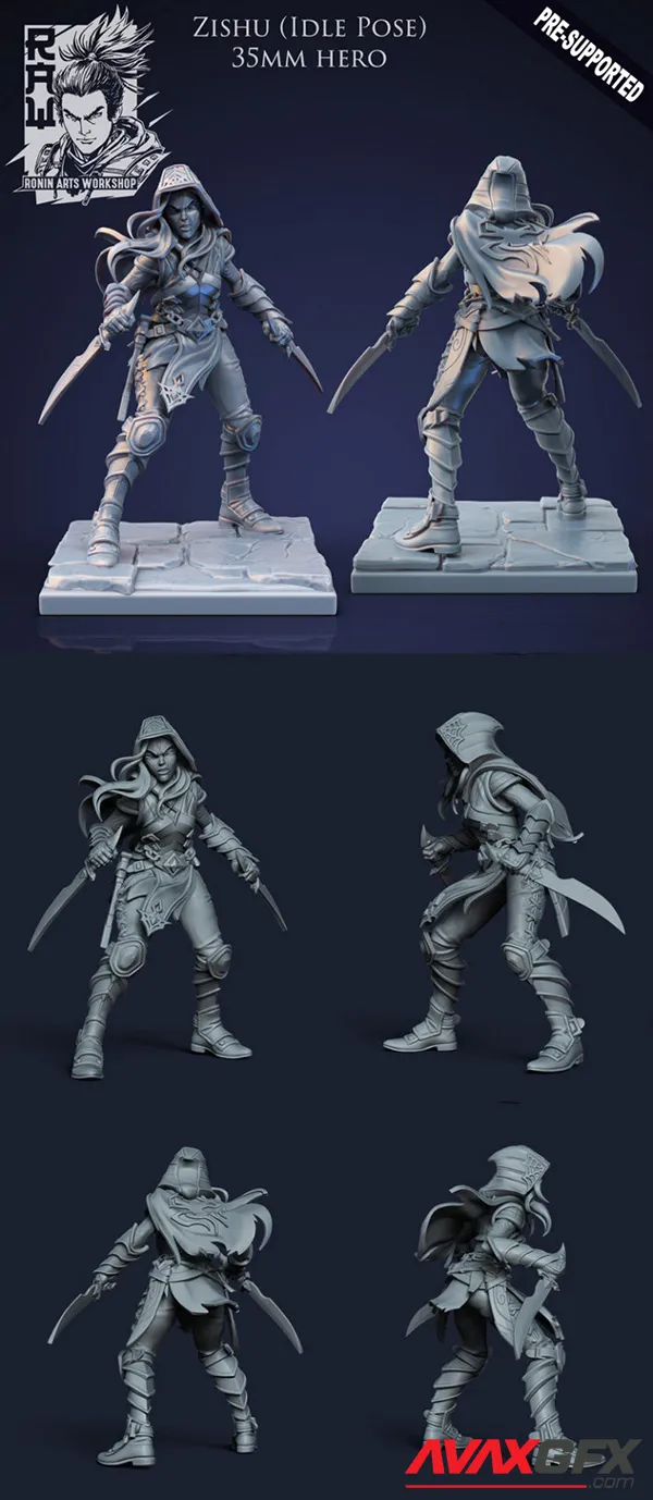 Zishu The Rogue (Idle Pose) – 3D Print