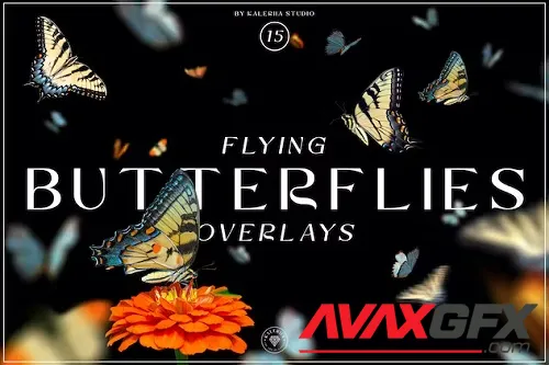Flying Butterflies Overlays - ZJQWTY3
