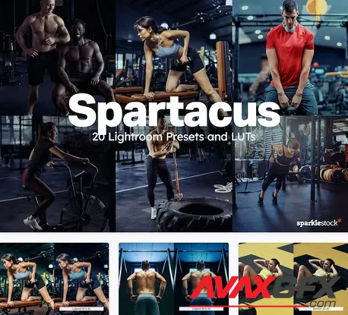 20 Spartacus Lightroom Presets LUTs - 91869830