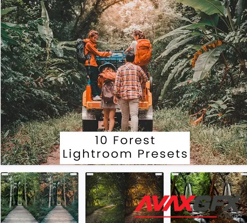 10 Forest Lightroom Presets - S8SCF6U