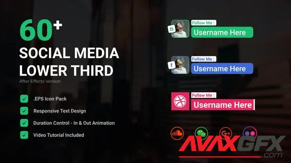 Social Media Lower third 49871316 Videohive