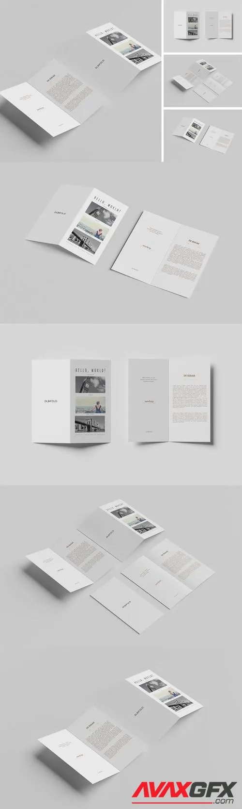 DL Bi-Fold Brochure Mockup