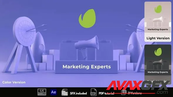 Marketing Experts 50316973 Videohive