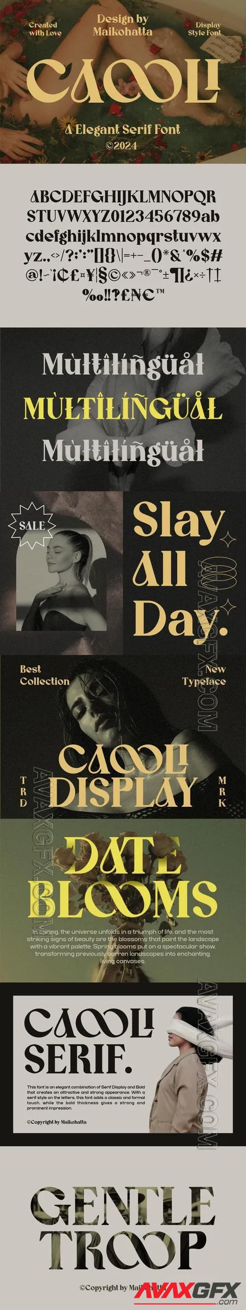 Caooli - Elegant Serif Font