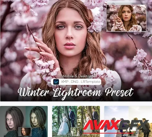 20 Winter Lightroom Preset - 7N43G35