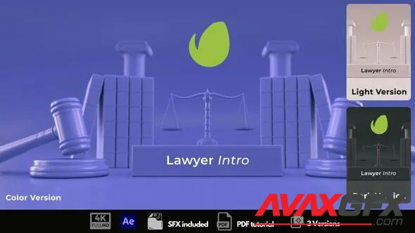 Lawyer Intro 50403939 Videohive