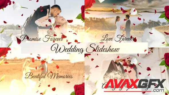 Wedding Slideshow 50237749 Videohive