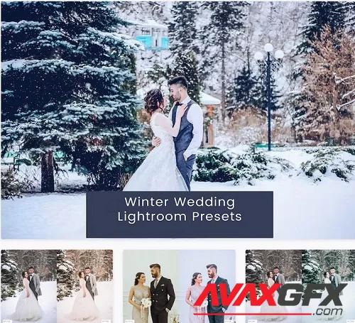 Winter Wedding Lightroom Presets - LN4HZXY