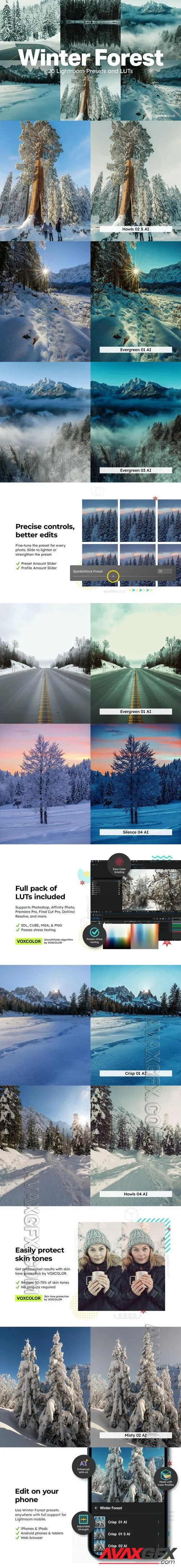 20 Winter Forest Lightroom Presets & LUTs