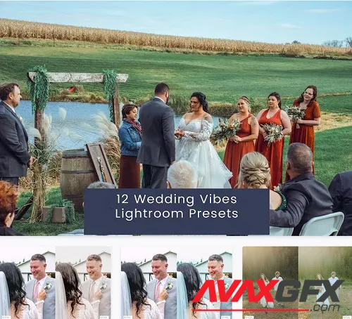 12 Wedding Vibes Lightroom Presets - 37UGD95