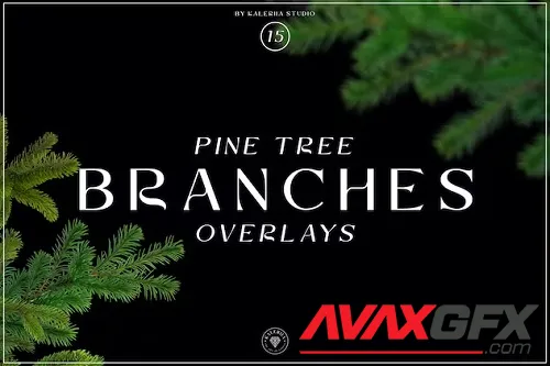 Pine Tree Branches Overlays - 2FQ47LY