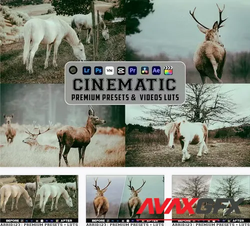 HDR Cinematic Luts Videos & Presets Mobile Desktop - BEN8JQL
