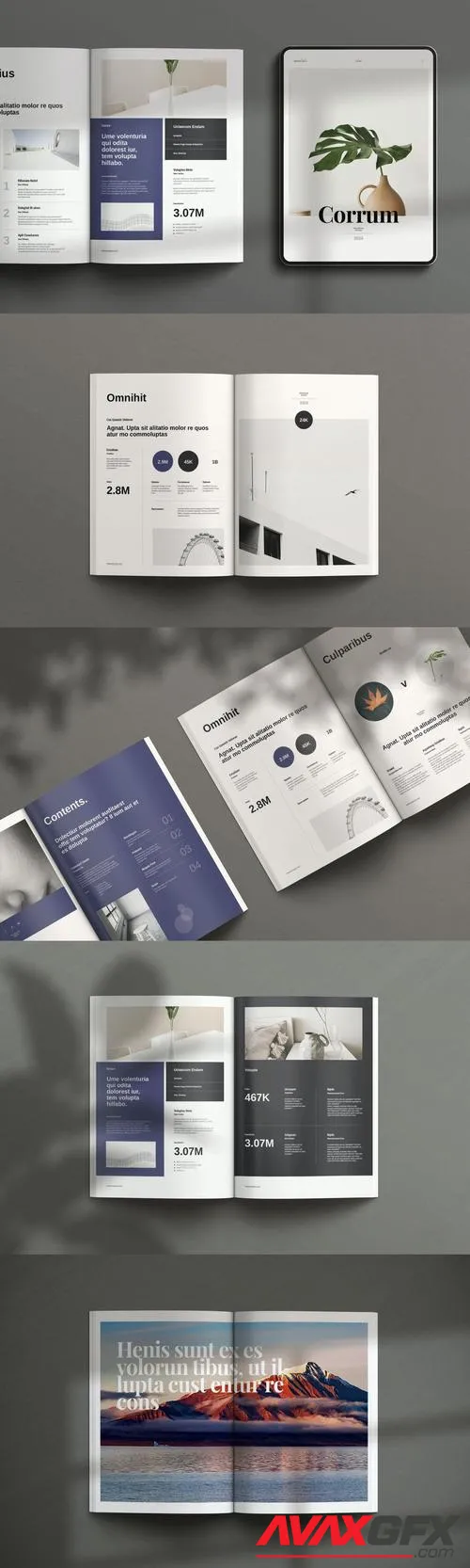 Corrum Brochure Template 36BRZ37