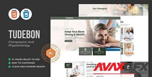 Tudebon - Chiropractic & Physiotherapy HTML Template 48697398