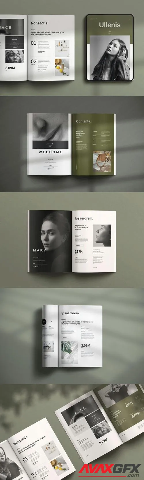 Ullenis Brochure Template