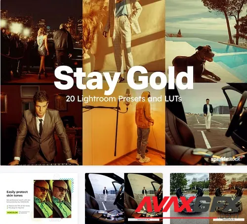 20 Stay Gold Lightroom Presets LUTs - 91933458