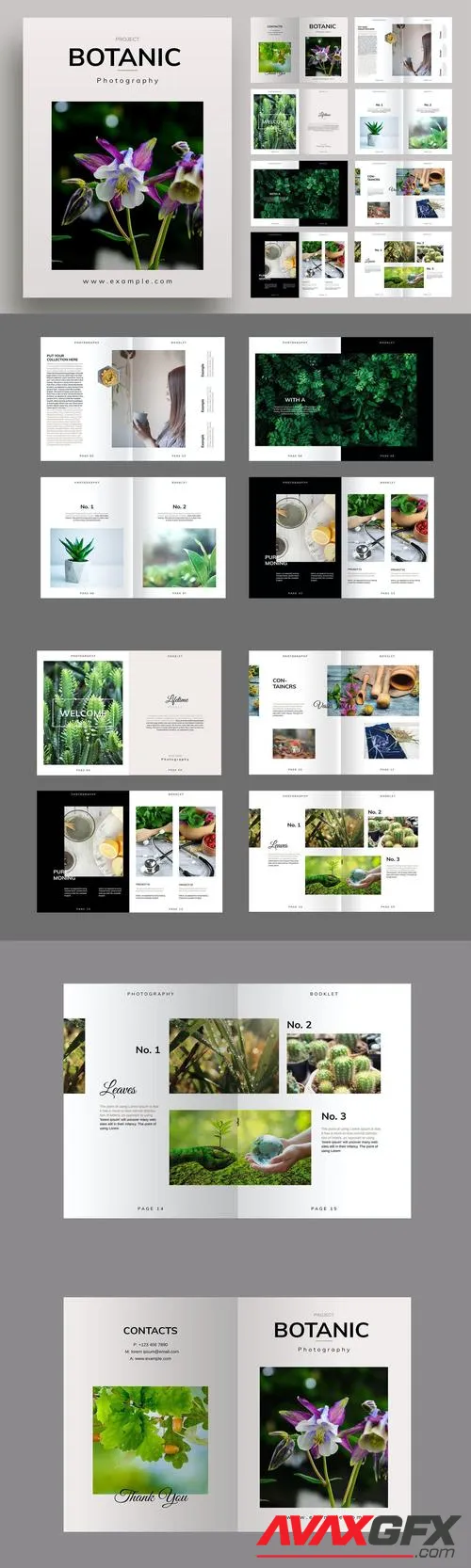 Botanic Layout Template BUEU5WP