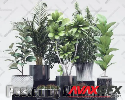 Plants collection 46 3D model Template