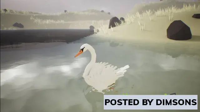 Unreal Engine Characters Low Poly Bird: Swan v5.3