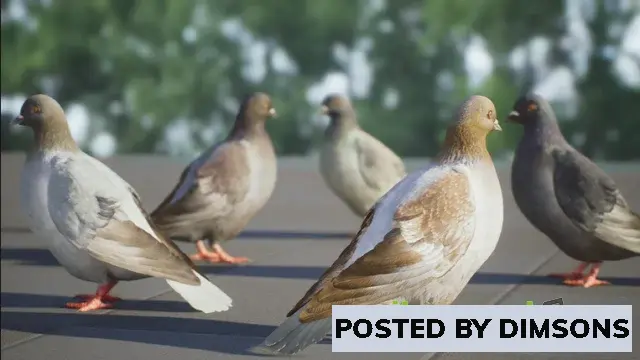 Unreal Engine Characters Realistic 3D Pigeon & Animations Pack v5.3