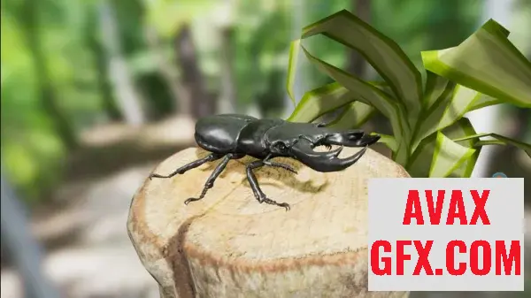 Unreal Engine Asset - Insect Pack v4.19+