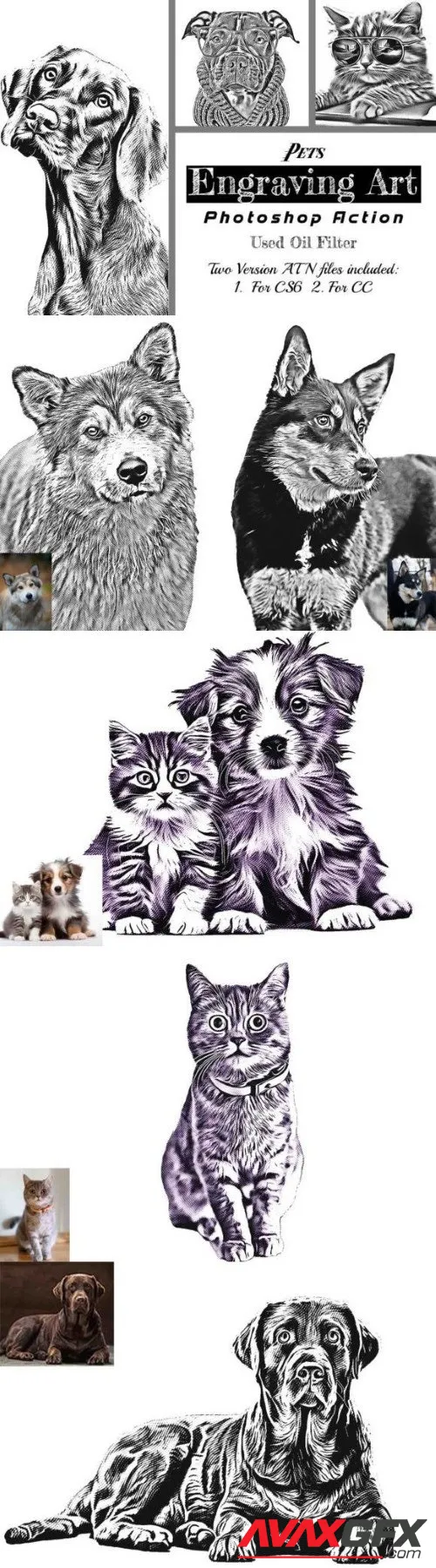 Pets Engraving Art Photoshop Action - 92032571