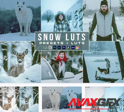 Snow - Winter Presets And luts Videos Premiere Pro - GRUUV4N