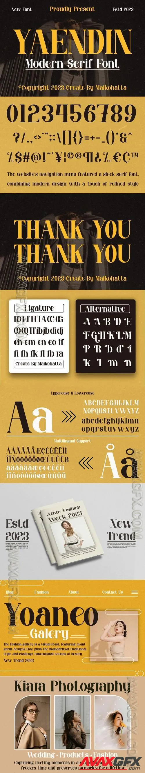 Yaendin - Modern Serif Font