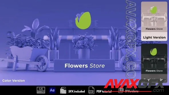 Flowers Store 50804384 Videohive